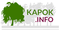 Logo Website Kapok.info